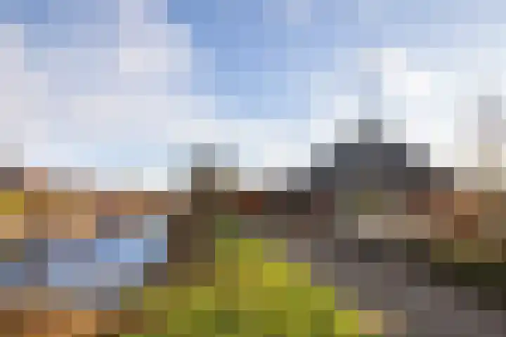 Alberdalaan 3 Uithuizen thumbnail 6
