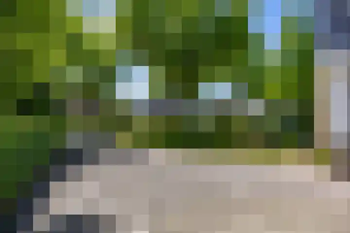 Alberdaweg 125 Marum thumbnail 11