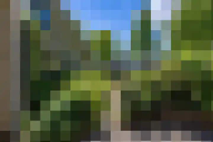 Alberdaweg 125 Marum thumbnail 49