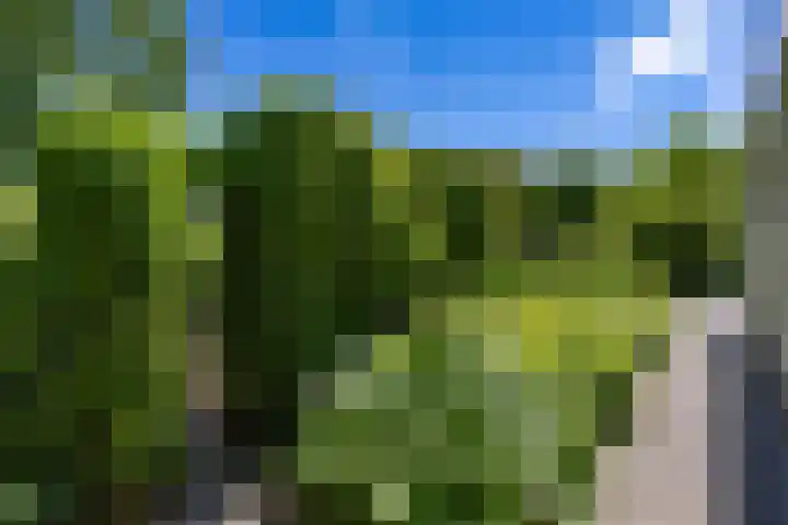 Alberdaweg 125 Marum thumbnail 53