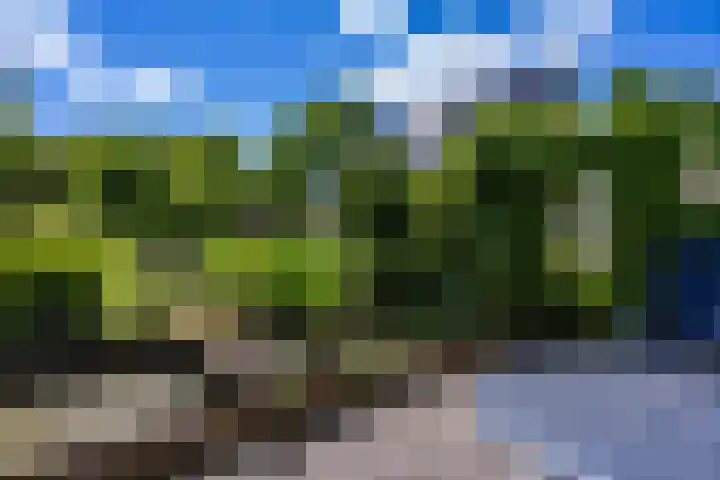 Alberdaweg 125 Marum thumbnail 56