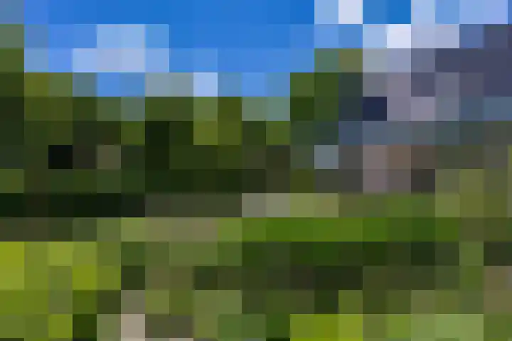 Alberdaweg 125 Marum thumbnail 57