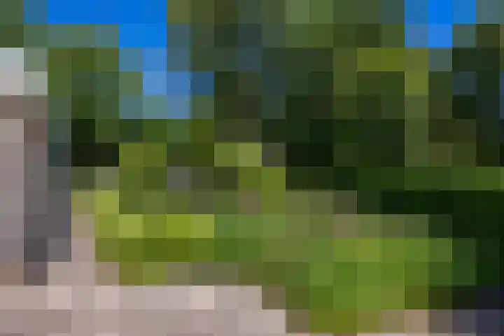 Alberdaweg 125 Marum thumbnail 58