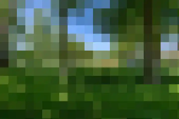 Alberdaweg 125 Marum thumbnail 62