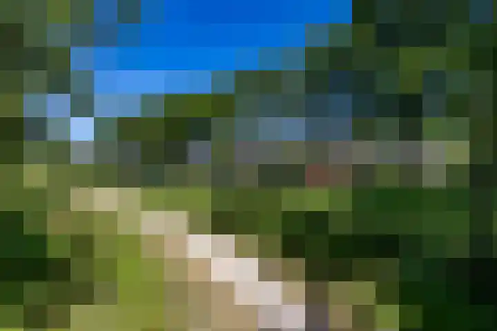 Alberdaweg 125 Marum thumbnail 63
