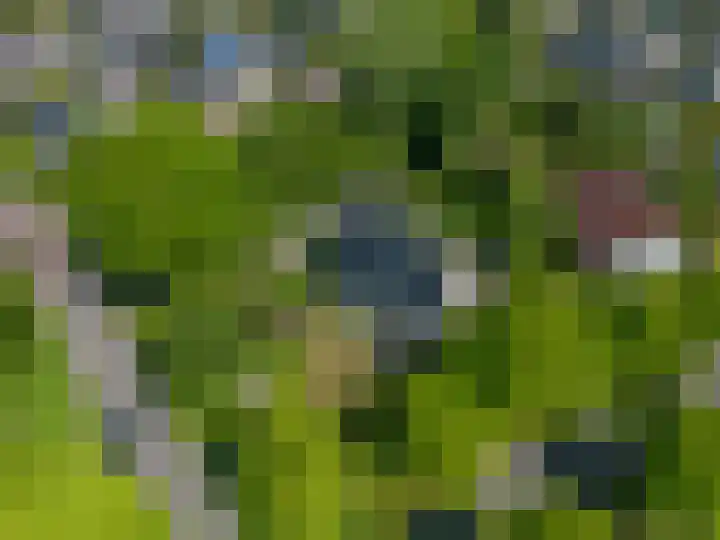 Alberdaweg 125 Marum thumbnail 67