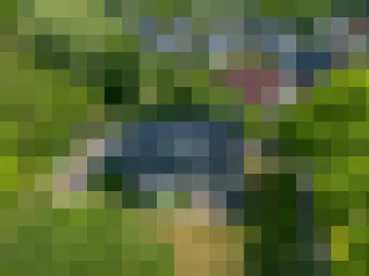 Alberdaweg 125 Marum thumbnail 68