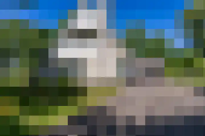 Alberdaweg 125 Marum thumbnail 9