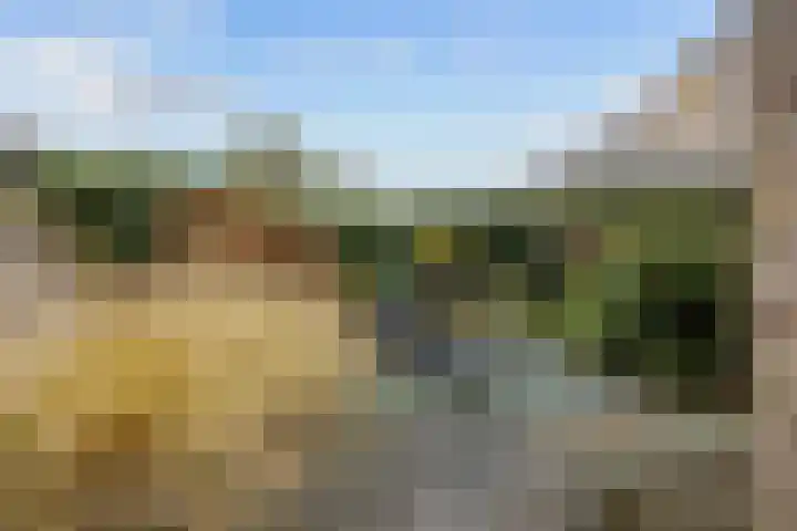 Alberdaweg 21 Marum thumbnail 6