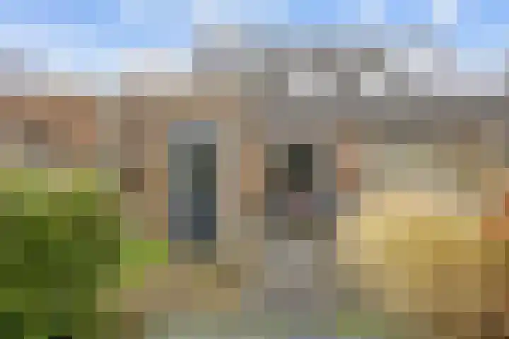 Alberdaweg 21 Marum thumbnail 61