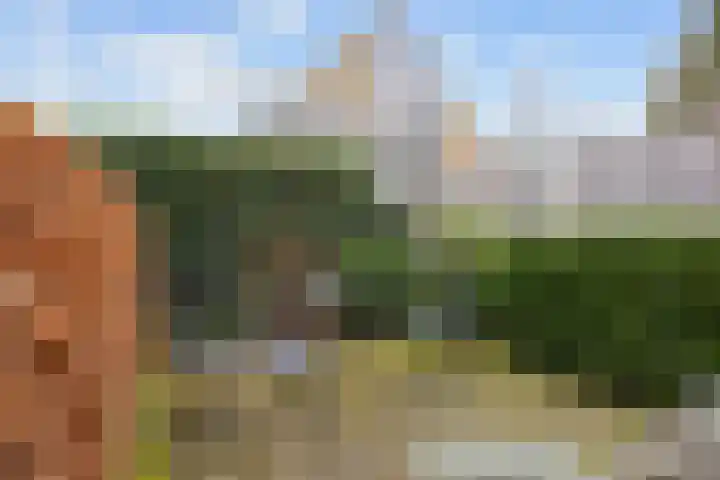 Alberdaweg 21 Marum thumbnail 63