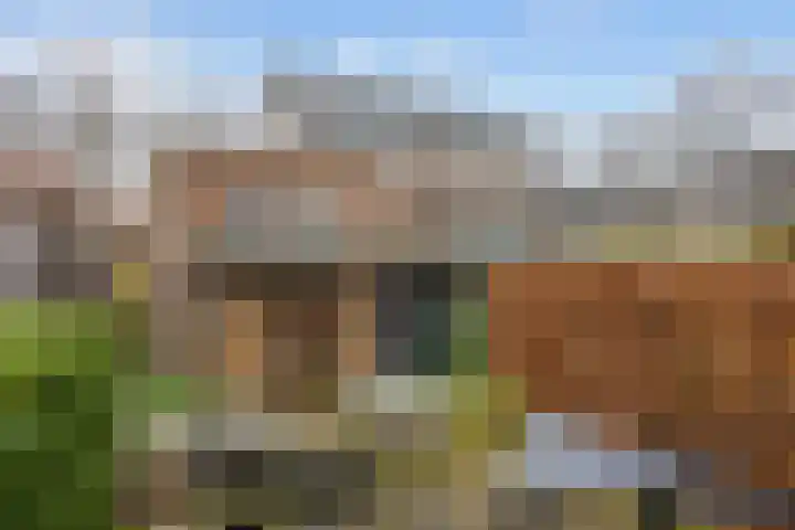 Alberdaweg 21 Marum thumbnail 64