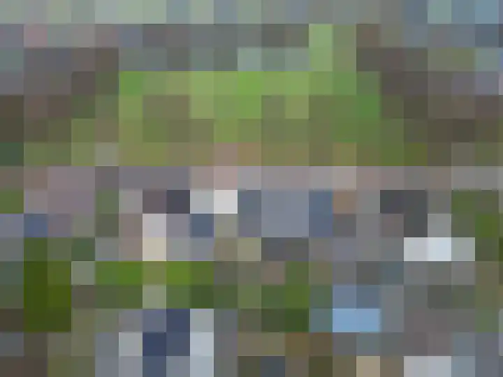 Alberdaweg 21 Marum thumbnail 69