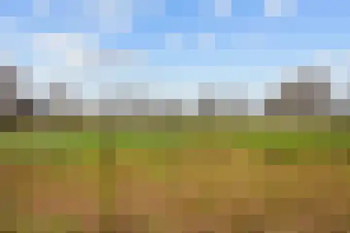Alberdaweg 21 Marum thumbnail 7