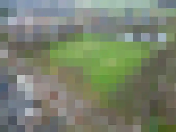 Alberdaweg 21 Marum thumbnail 72