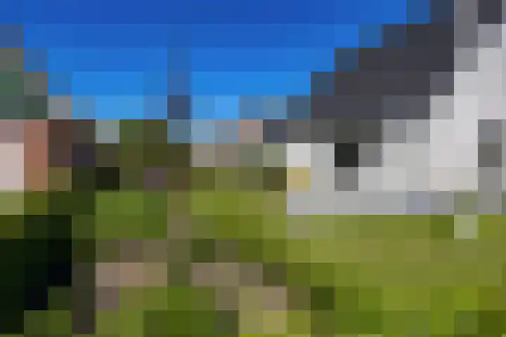 Alberdaweg 29 Marum thumbnail 17