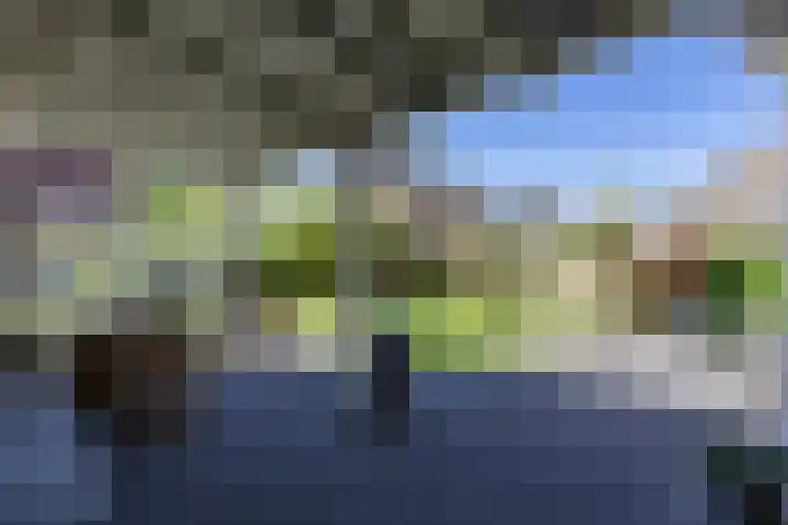 Alberdaweg 29 Marum thumbnail 61
