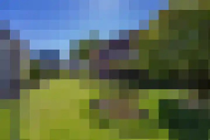 Alberdaweg 29 Marum thumbnail 67