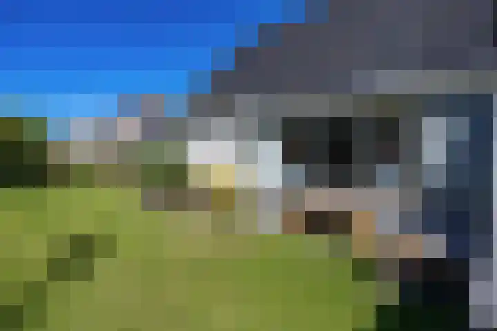 Alberdaweg 29 Marum thumbnail 71