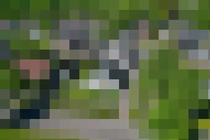 Alberdaweg 29 Marum thumbnail 8