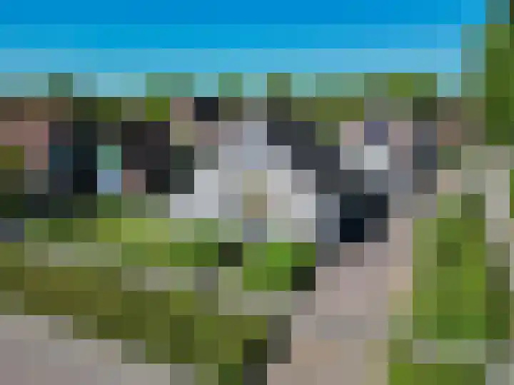 Alberdaweg 29 Marum thumbnail 86