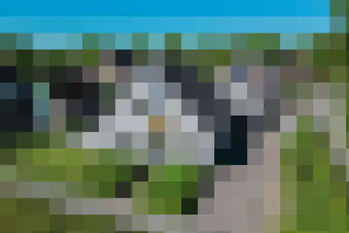 Alberdaweg 29 Marum thumbnail 9