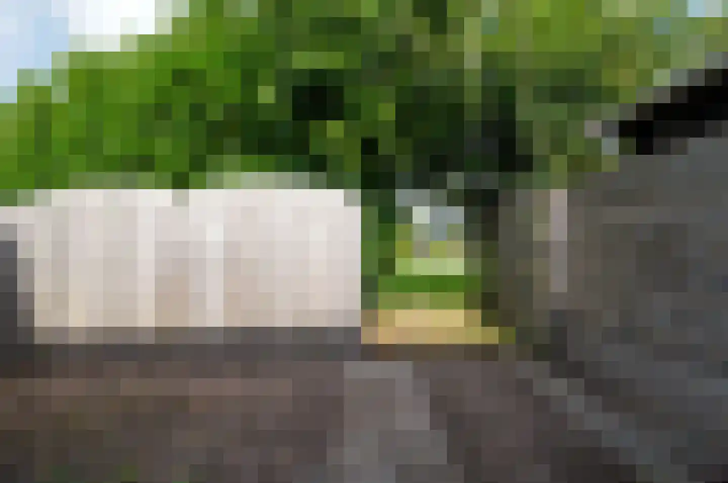 Alberdaweg 37 Marum thumbnail 42