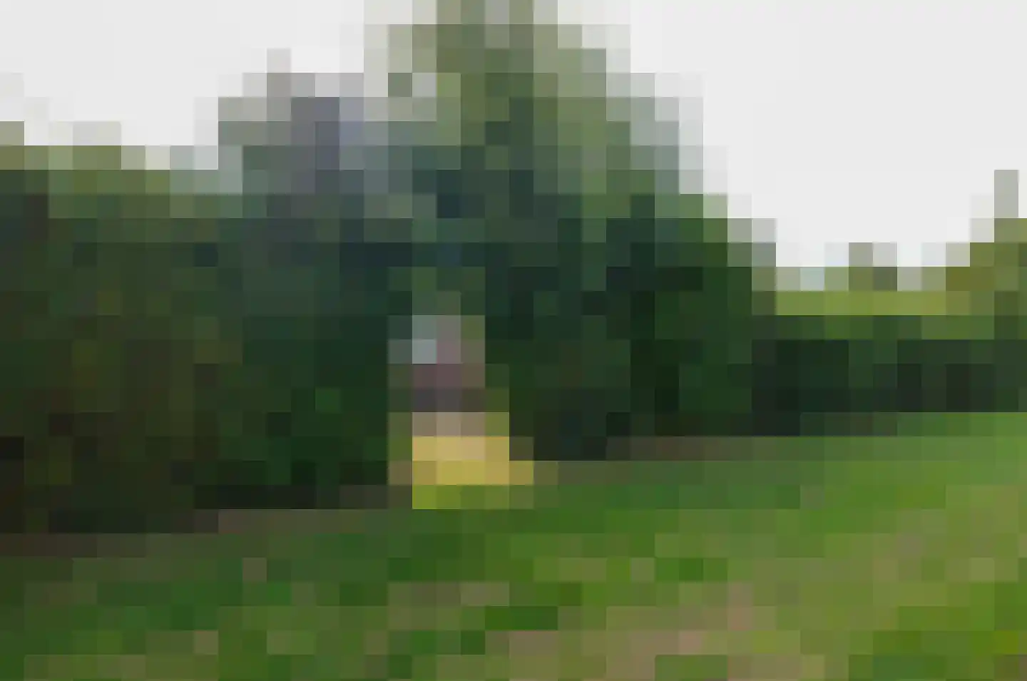 Alberdaweg 37 Marum thumbnail 45