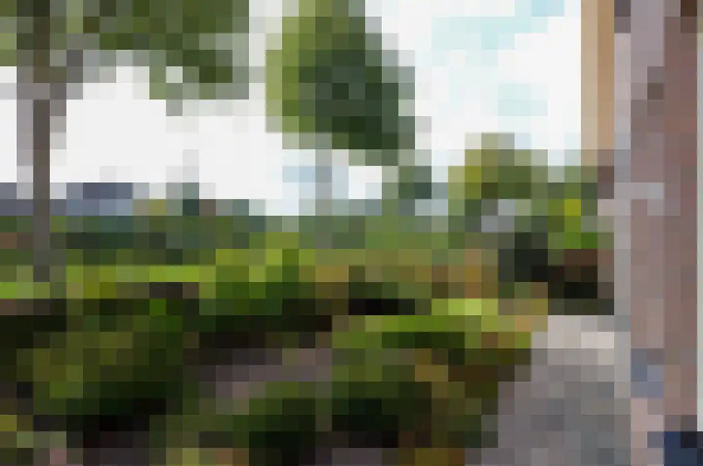 Alberdaweg 37 Marum thumbnail 46
