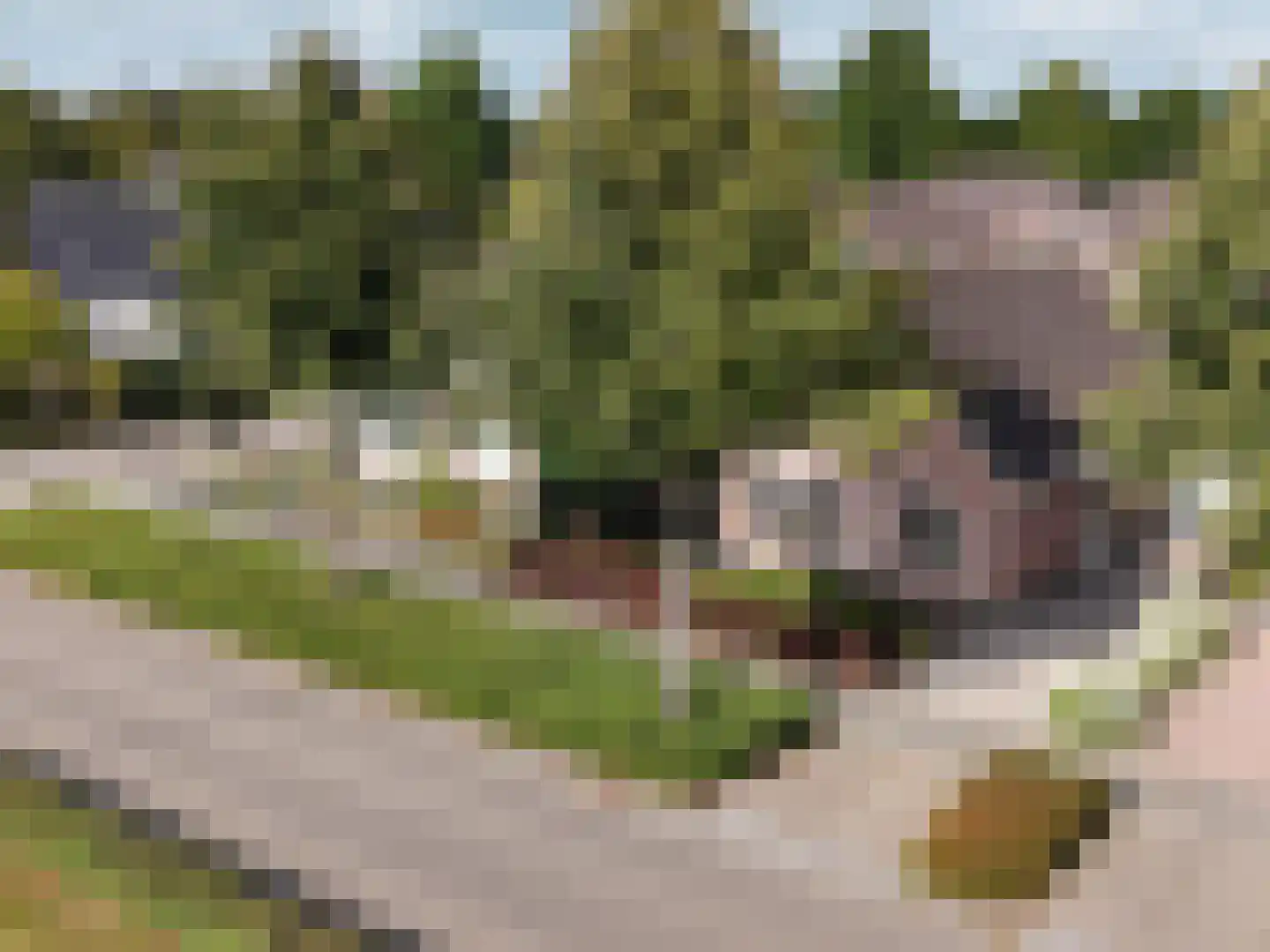 Alberdaweg 37 Marum thumbnail 47