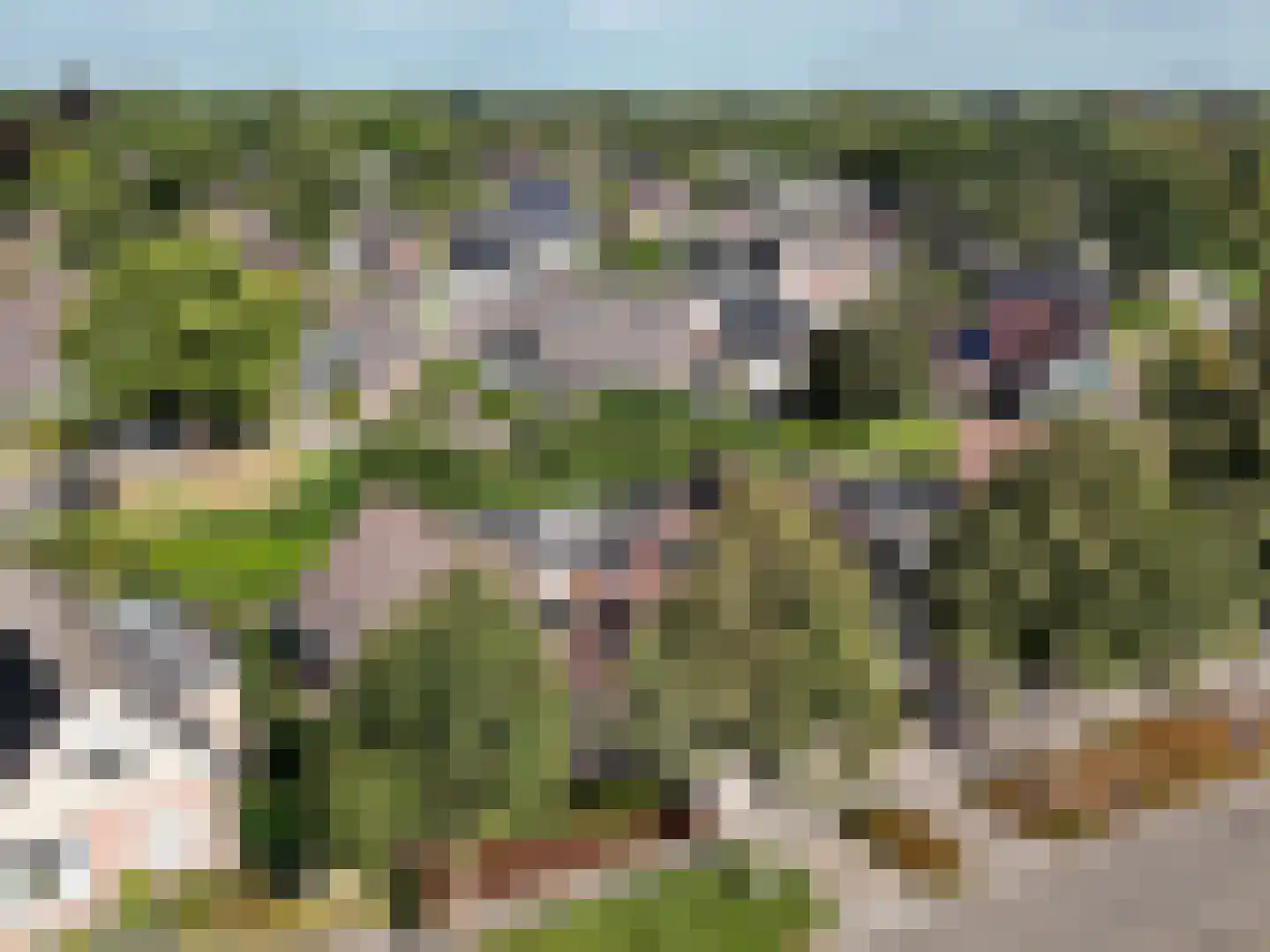 Alberdaweg 37 Marum thumbnail 48