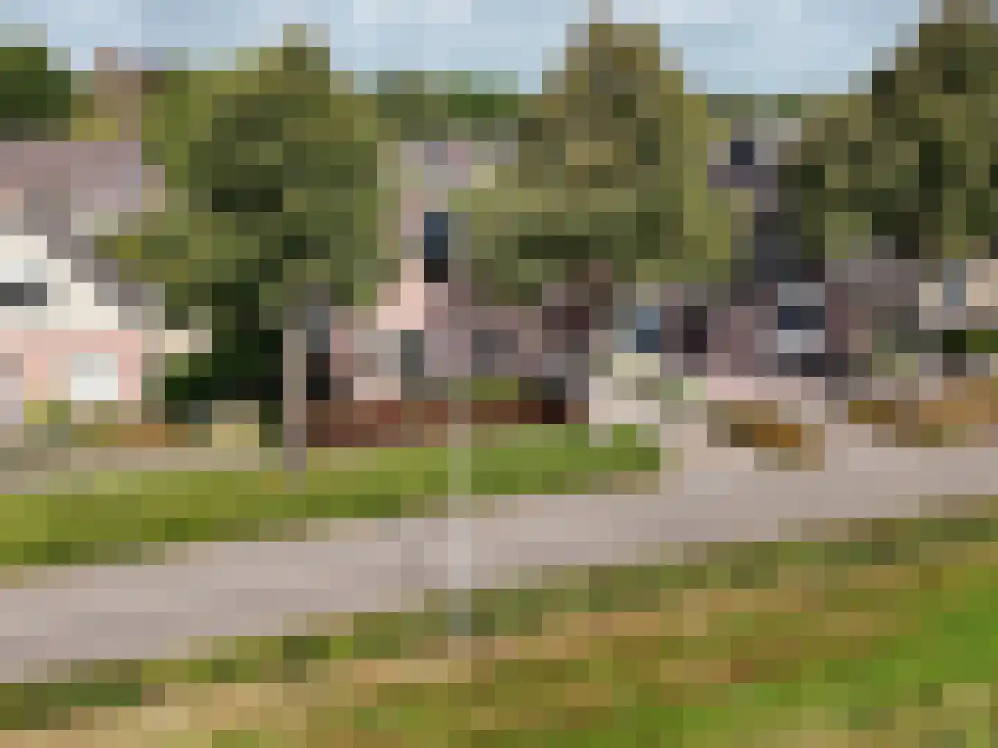 Alberdaweg 37 Marum thumbnail 50