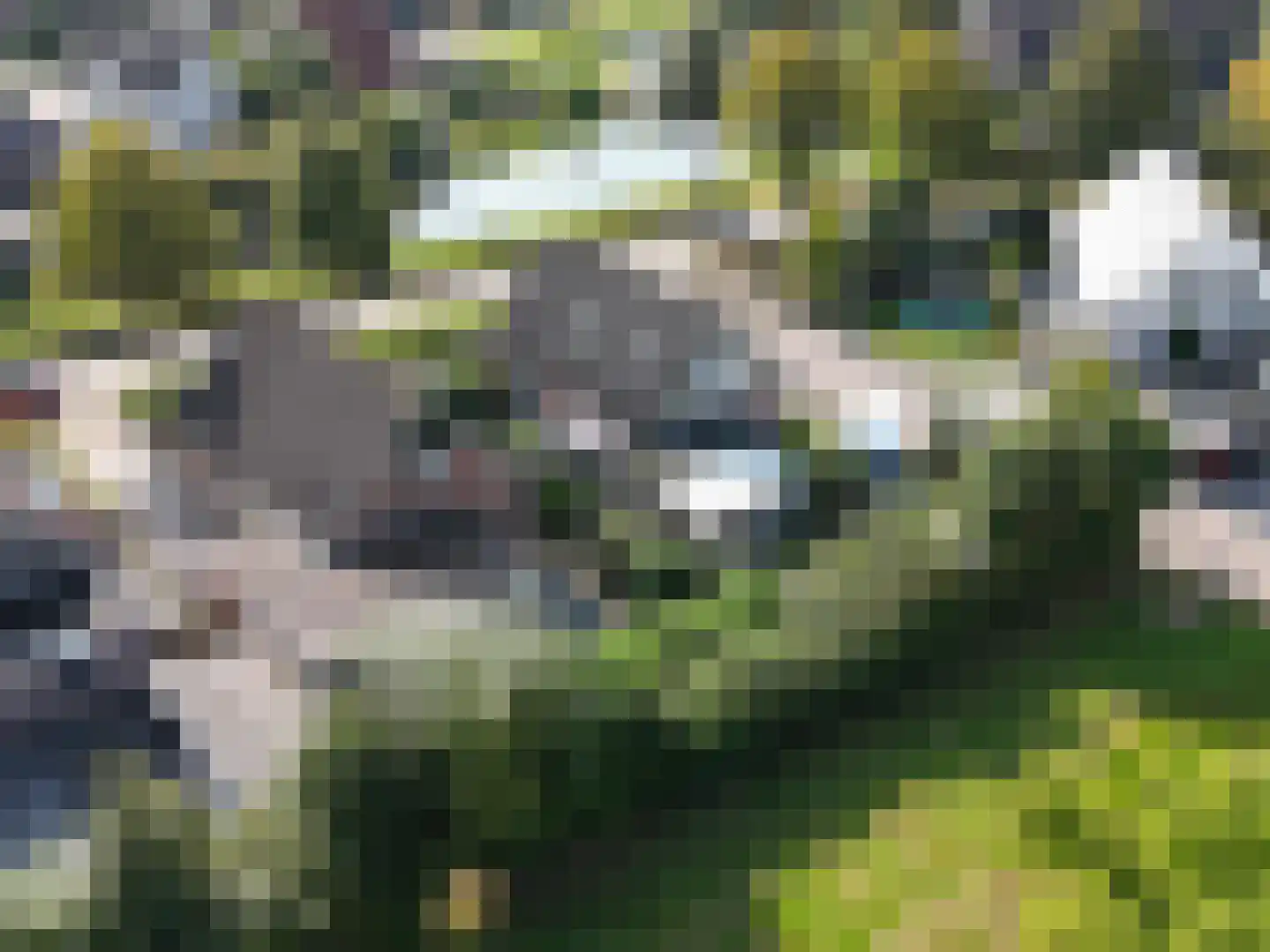 Alberdaweg 37 Marum thumbnail 51