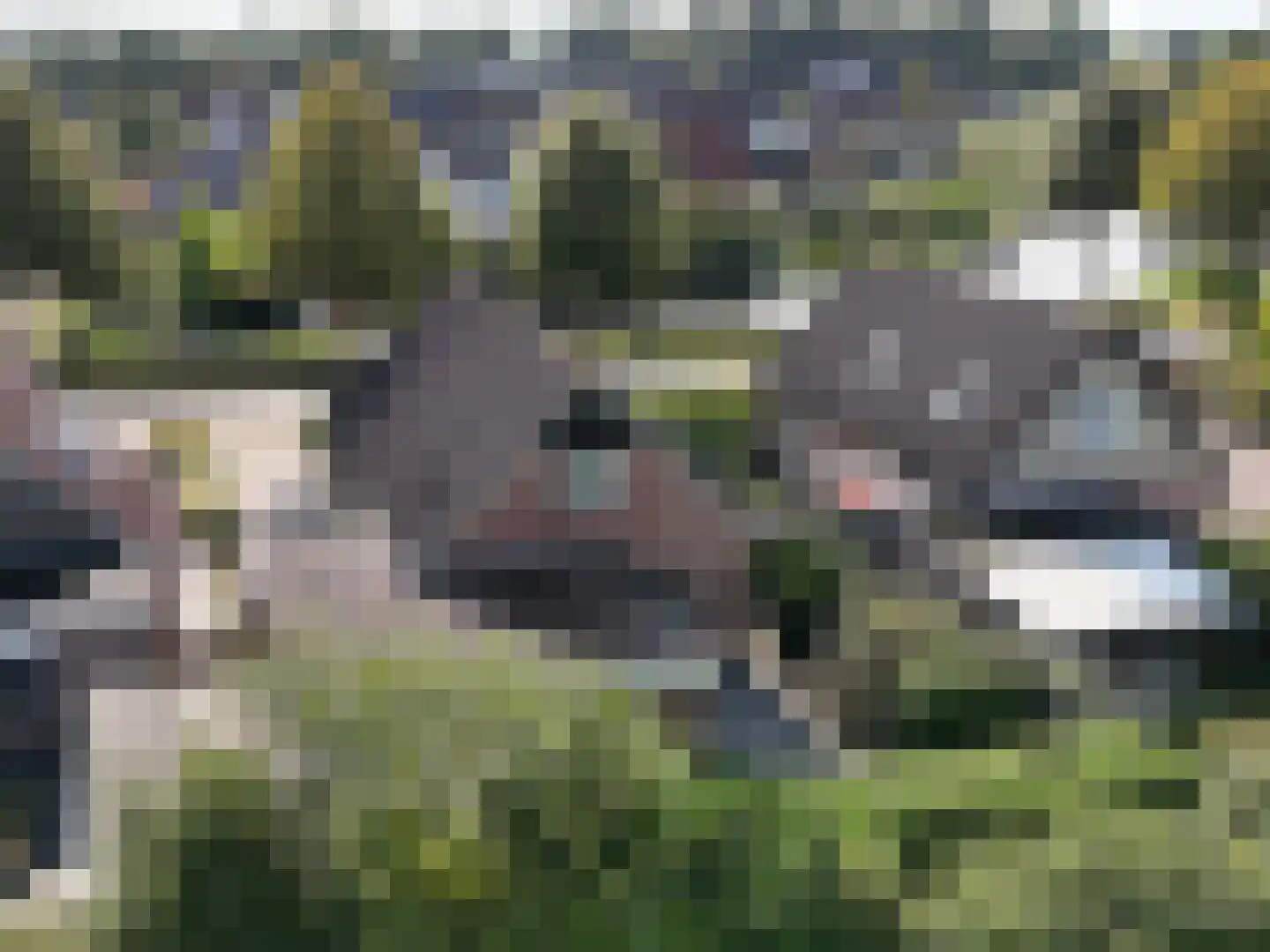 Alberdaweg 37 Marum thumbnail 52