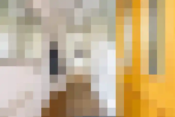 Alberdina Beerlinglaan 30 Eelderwolde thumbnail 12