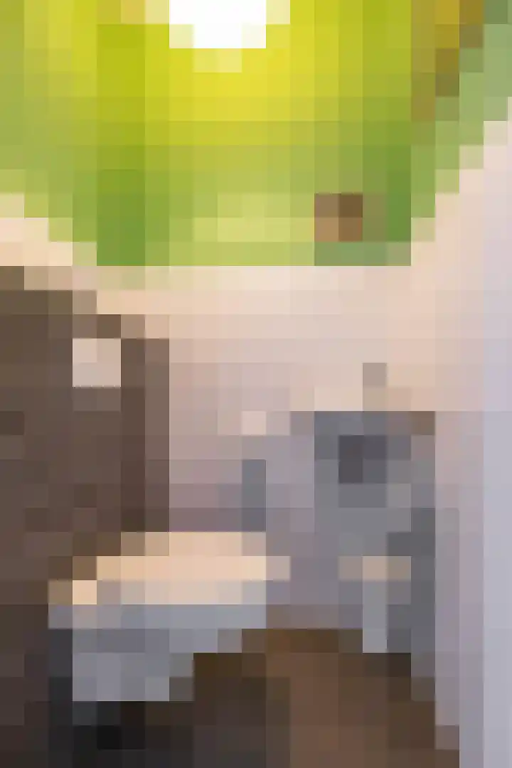 Alberdina Beerlinglaan 30 Eelderwolde thumbnail 15