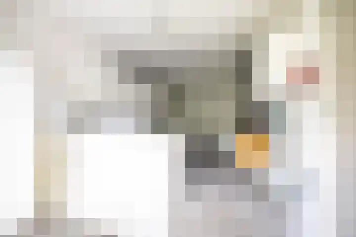 Alberdina Beerlinglaan 30 Eelderwolde thumbnail 17