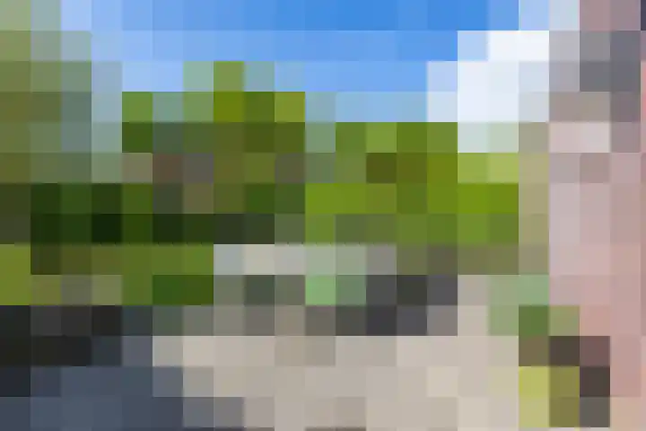 Alberdina Beerlinglaan 30 Eelderwolde thumbnail 34