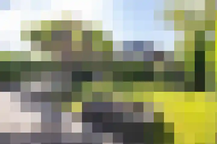 Alberdina Beerlinglaan 30 Eelderwolde thumbnail 35