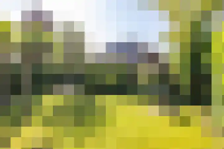 Alberdina Beerlinglaan 30 Eelderwolde thumbnail 36