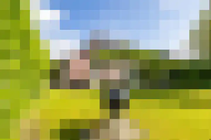 Alberdina Beerlinglaan 30 Eelderwolde thumbnail 37