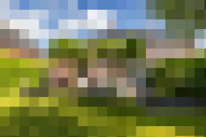 Alberdina Beerlinglaan 30 Eelderwolde thumbnail 38