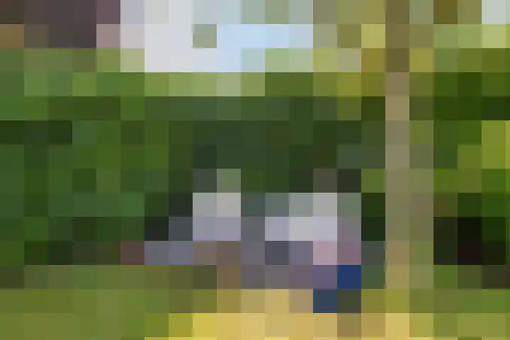 Alberdina Beerlinglaan 30 Eelderwolde thumbnail 39