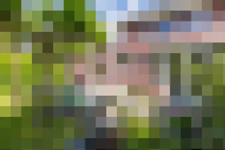 Alberdina Beerlinglaan 30 Eelderwolde thumbnail 41
