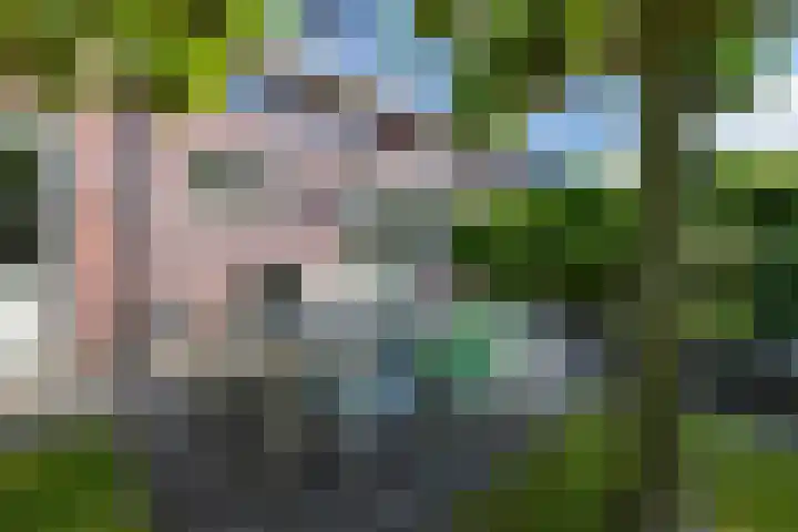 Alberdina Beerlinglaan 30 Eelderwolde thumbnail 42