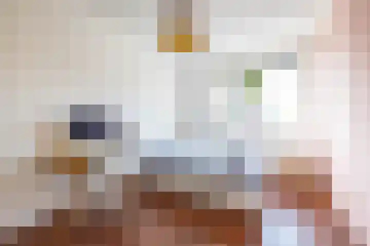 Alberdina Beerlinglaan 30 Eelderwolde thumbnail 48