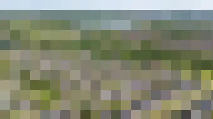 Alberdina Beerlinglaan 30 Eelderwolde thumbnail 6