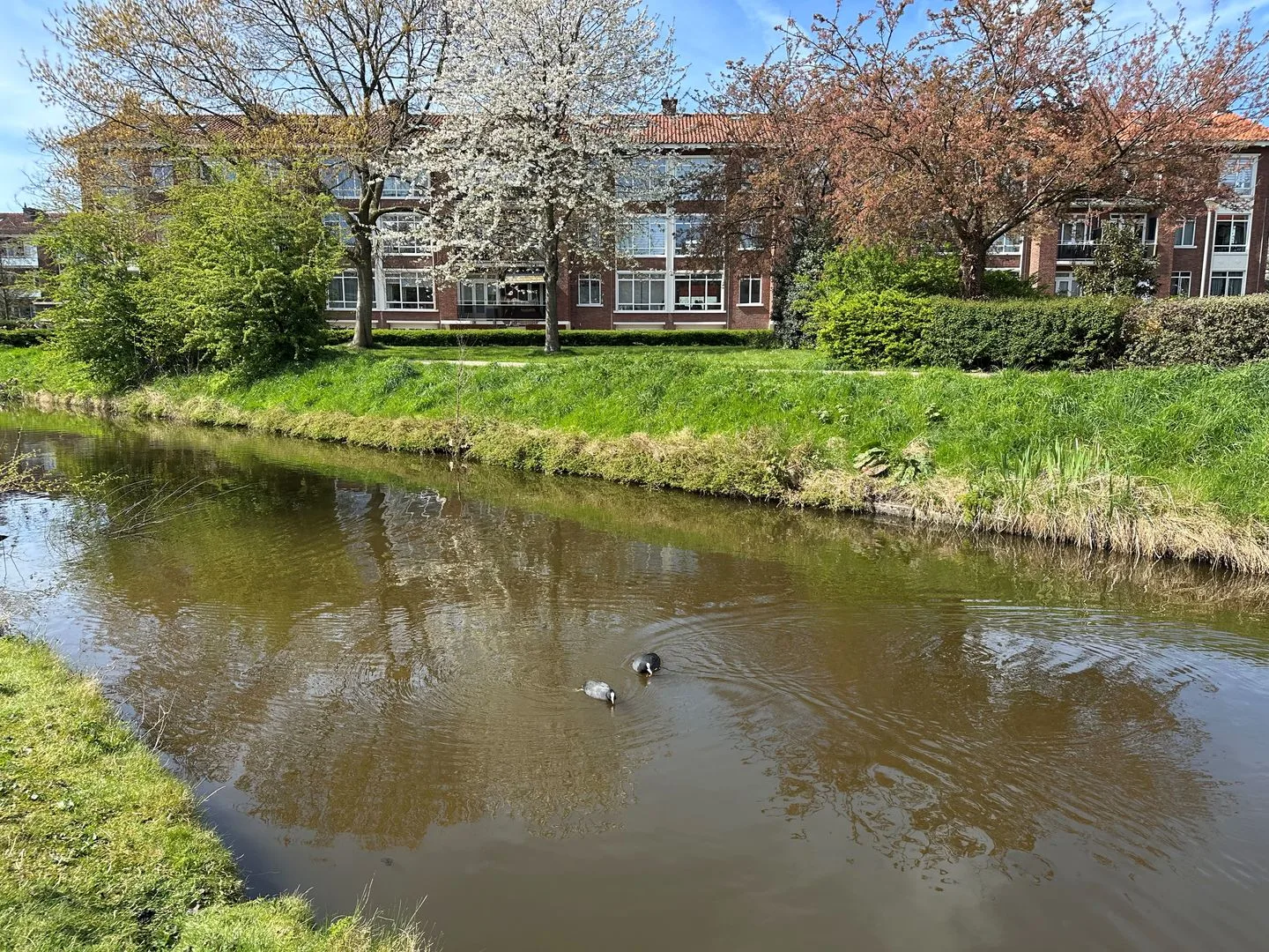 Alberdingk Thijmkade 6 Voorburg thumbnail 28