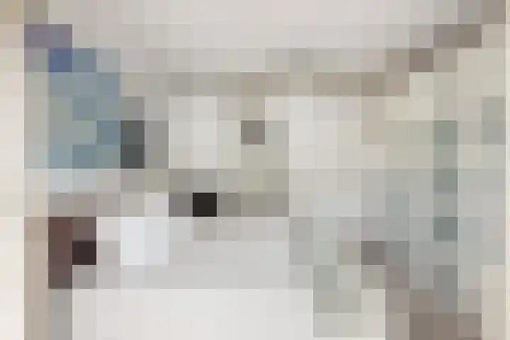 Alberdingk Thijmlaan 10 Heemstede thumbnail 27