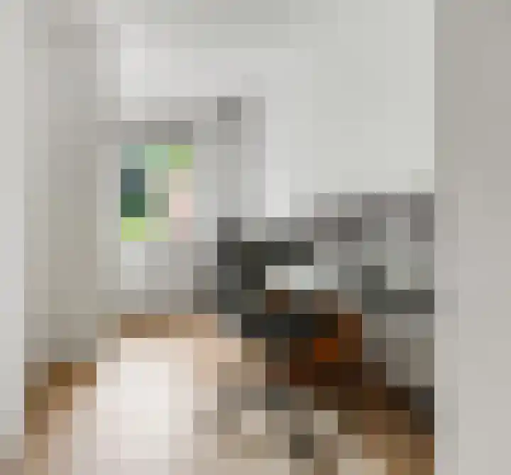 Alberdingk Thijmlaan 10 Heemstede thumbnail 29